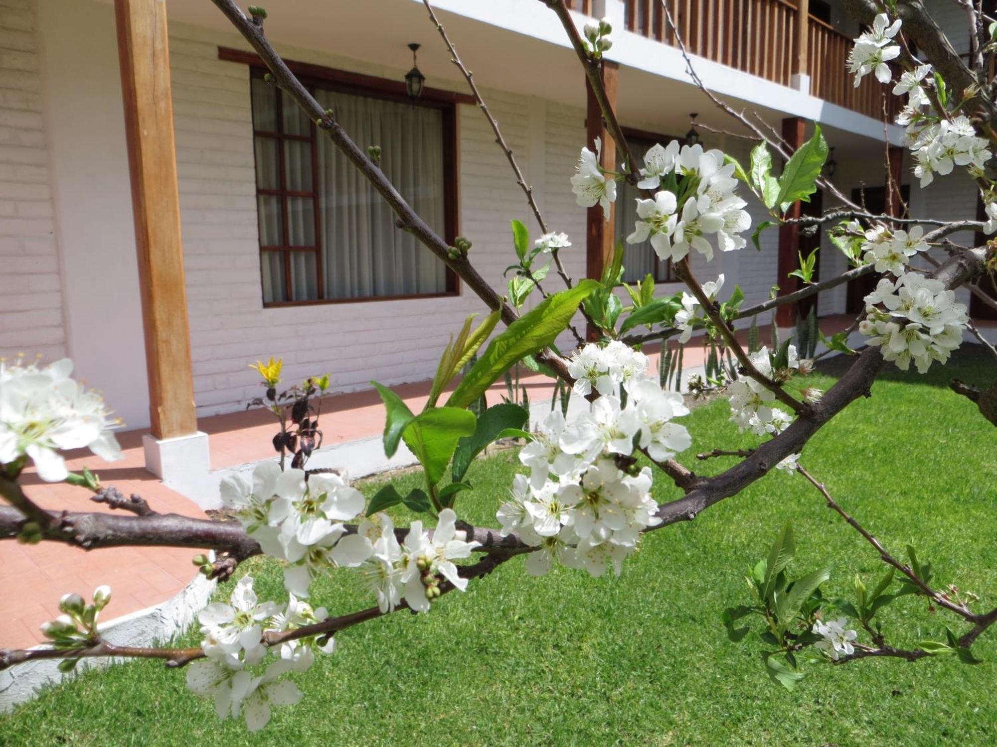 La Quinta San Andres Hotel Ibarra Exterior photo